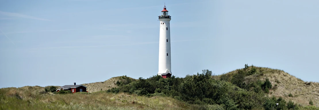 forside hvide sande topbillede